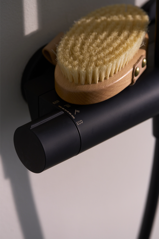 Mitigeur douche pluie Hansa viva noir
