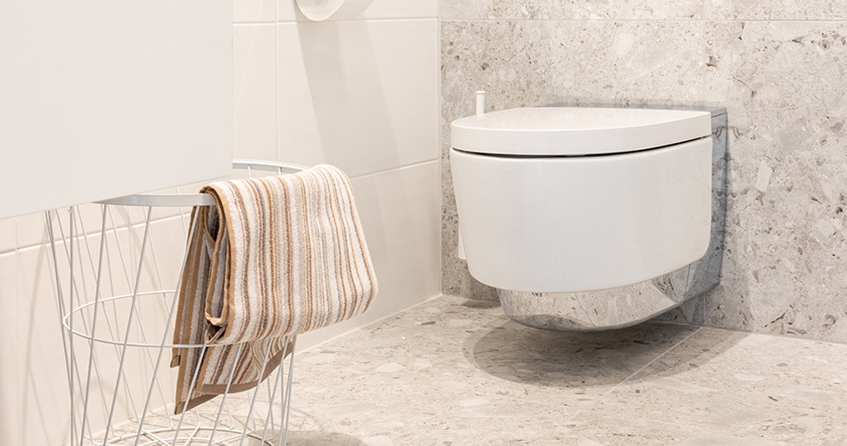 WC douche Geberit blanc et argent