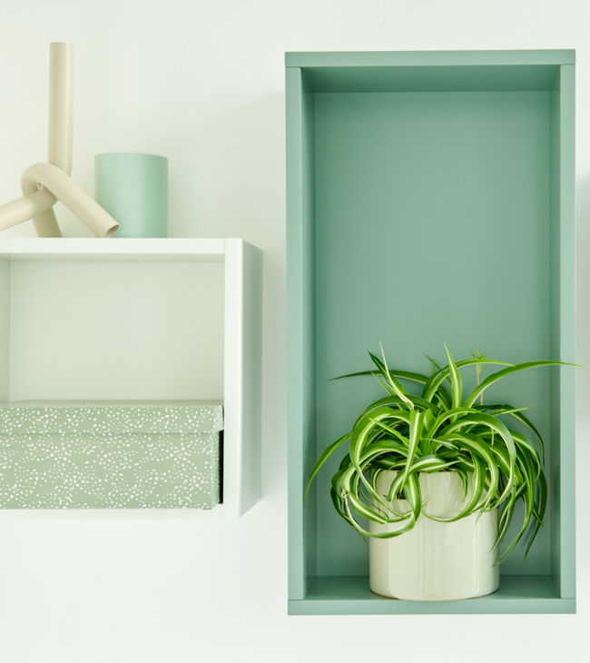 Étagères à compartiments vertes et blanches avec boîte de rangement décorative et plante, pour un aménagement de salle de bain à la fois élégant et fonctionnel.