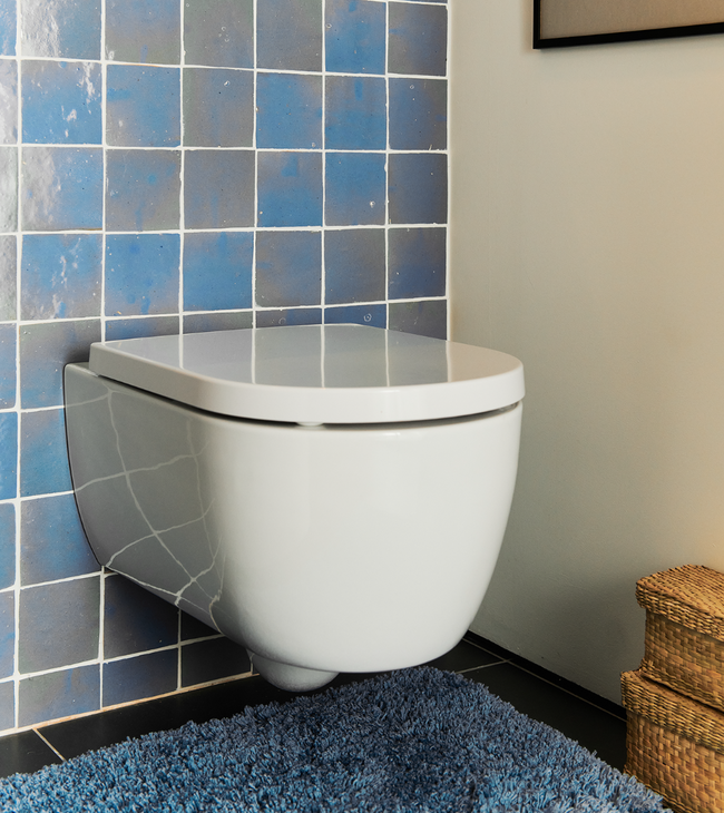 Toilet met blauwe tegeltjes in landelijke stijl